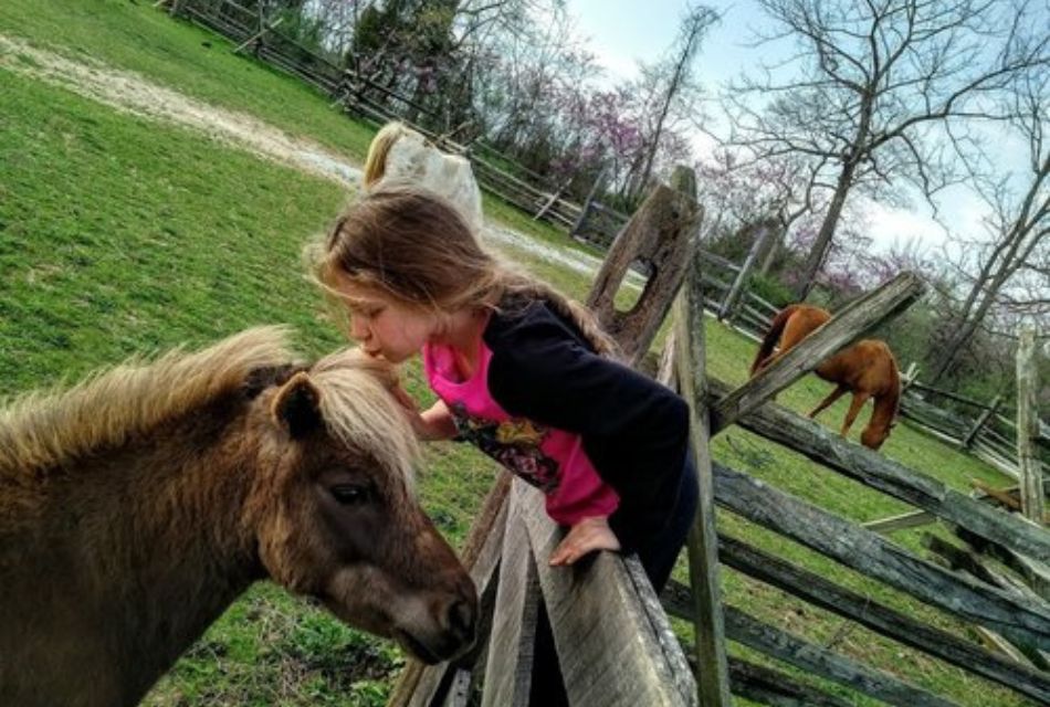 Traveling with Kids